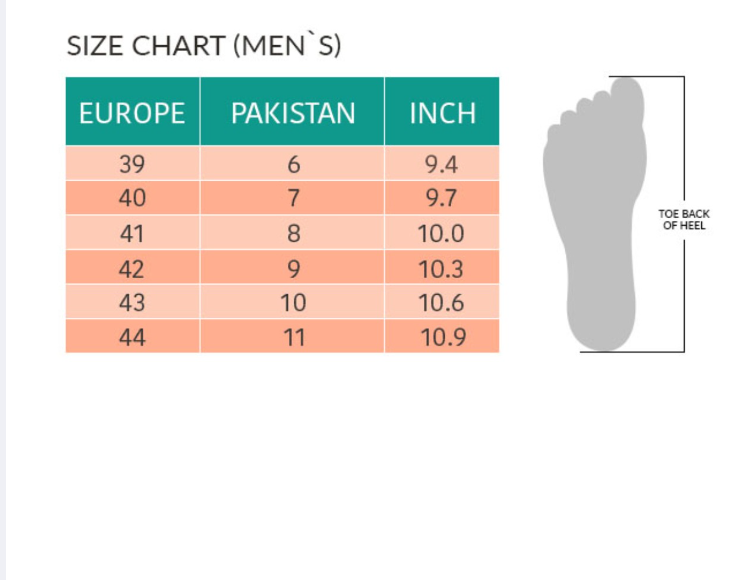 Black Camel Slipper for men flip flop for men