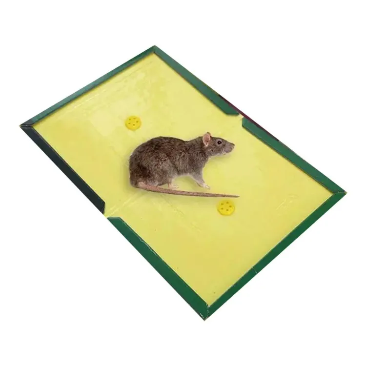 Large Mouse Glue Pad Traps with Enhanced Stickiness, Rat Mouse