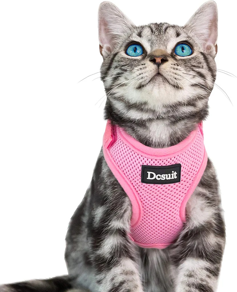 Imported 3 in 1 Harness And Leash For Your Cat Soft Mesh Breathable