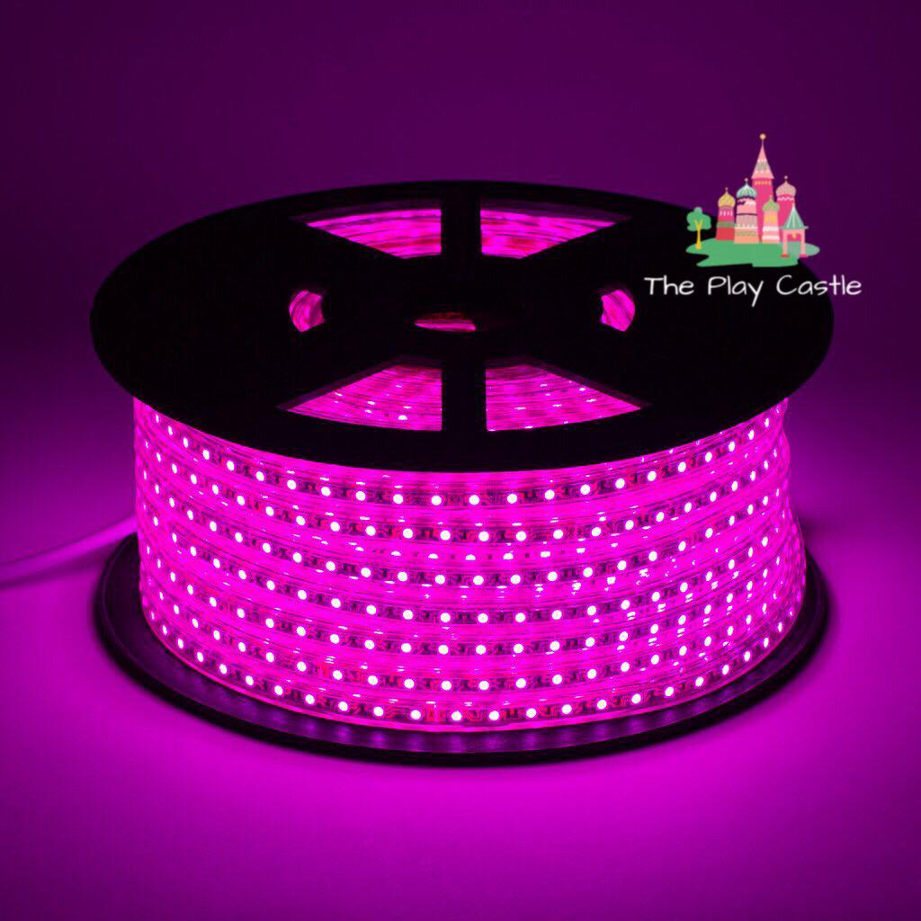 Pink Flexible Rope Led Strip light with Adapter Water Proof and multiple  sizes to choose from: Buy Online at Best Prices in Pakistan | Daraz.pk