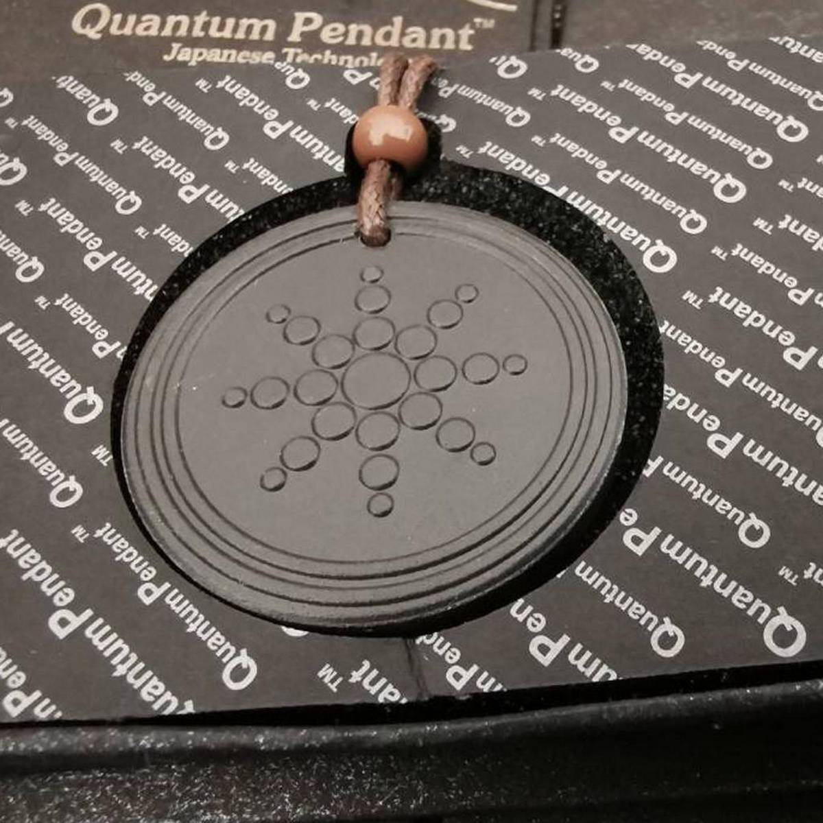 quantum pendant check serial number