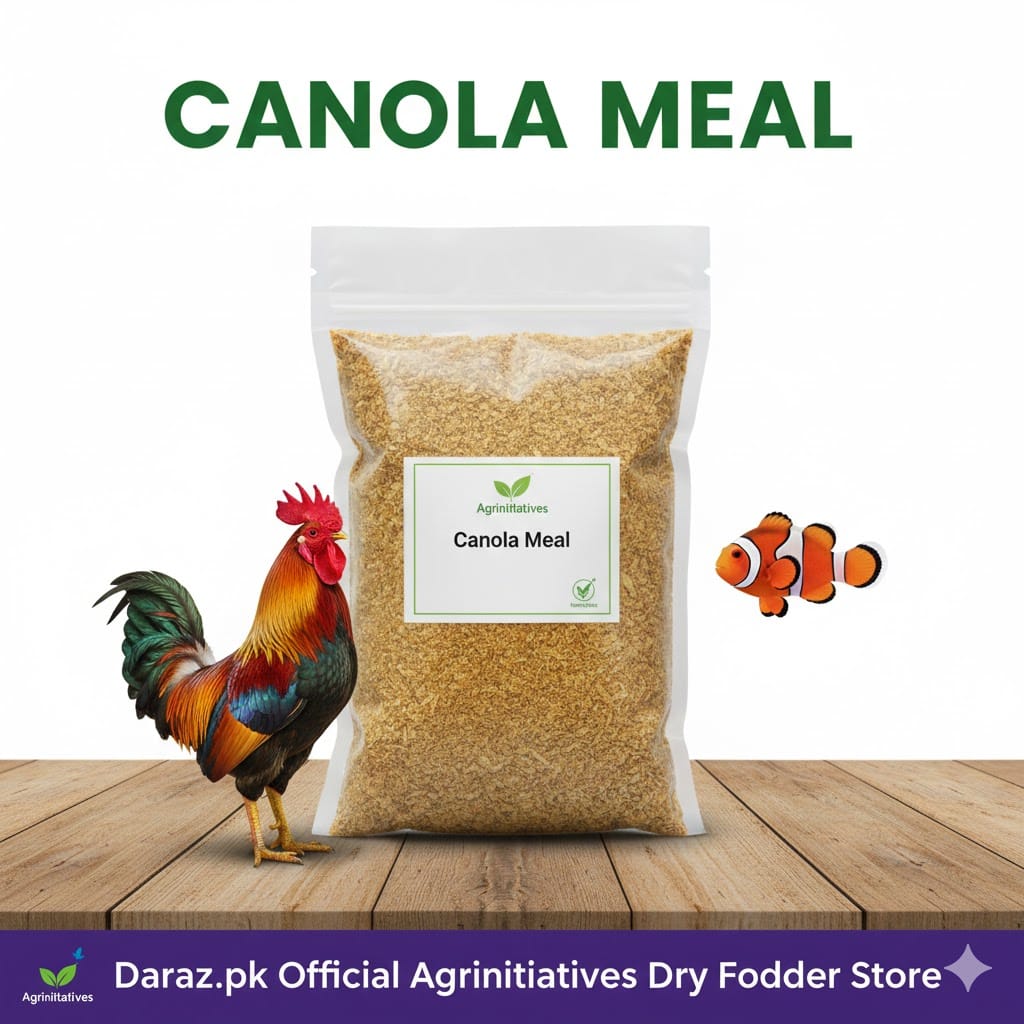 Premium Canola Meal 1 KG – High Protein Animal Feed | Best for Hen , Goats, Cattle, Poultry & Pets | Boosts Growth, Milk Production & Muscle Health | Natural Livestock Feed – Agrinitiatives