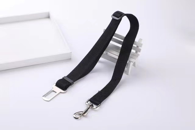 magic leash for dogs