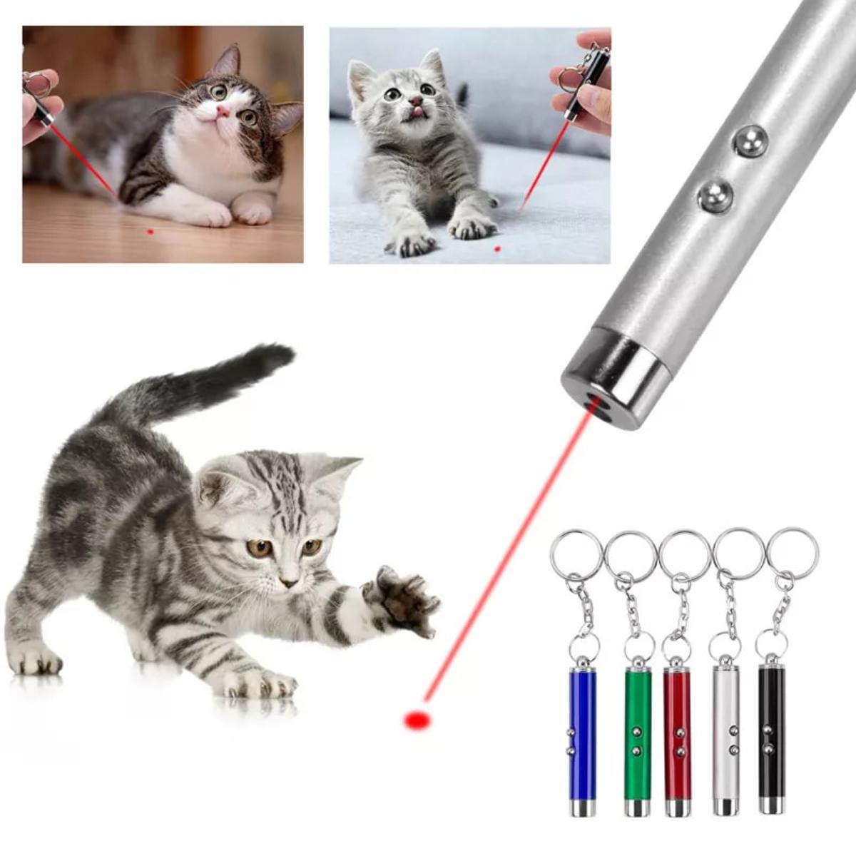 cat toy with laser