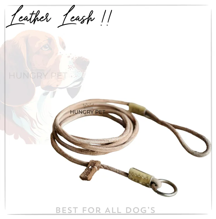 Best show leads outlet for dogs