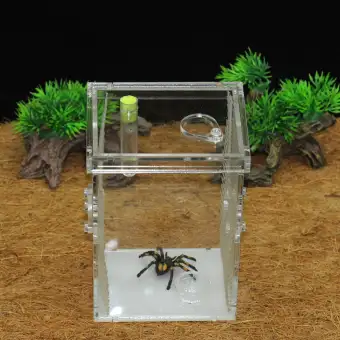 Acrylic Transparent Wet Reptiles Insect Tank Breeding Box Pets