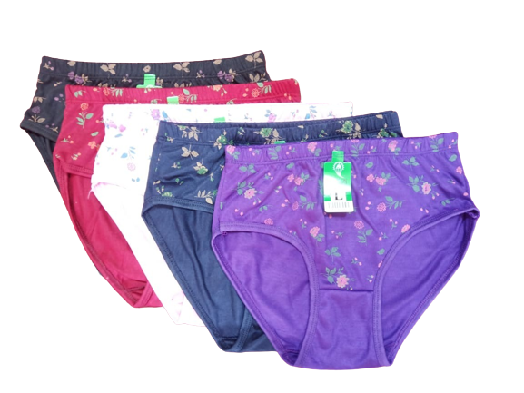 Ladies Underwear Panties Pack of 04 Soft Pv Cotton Jersey for Girls and Women
