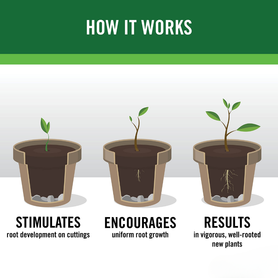 Rooting Hormone Powder for Plants - Rooting Hormone for Cuttings ...