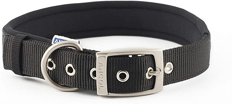black nylon dog collar