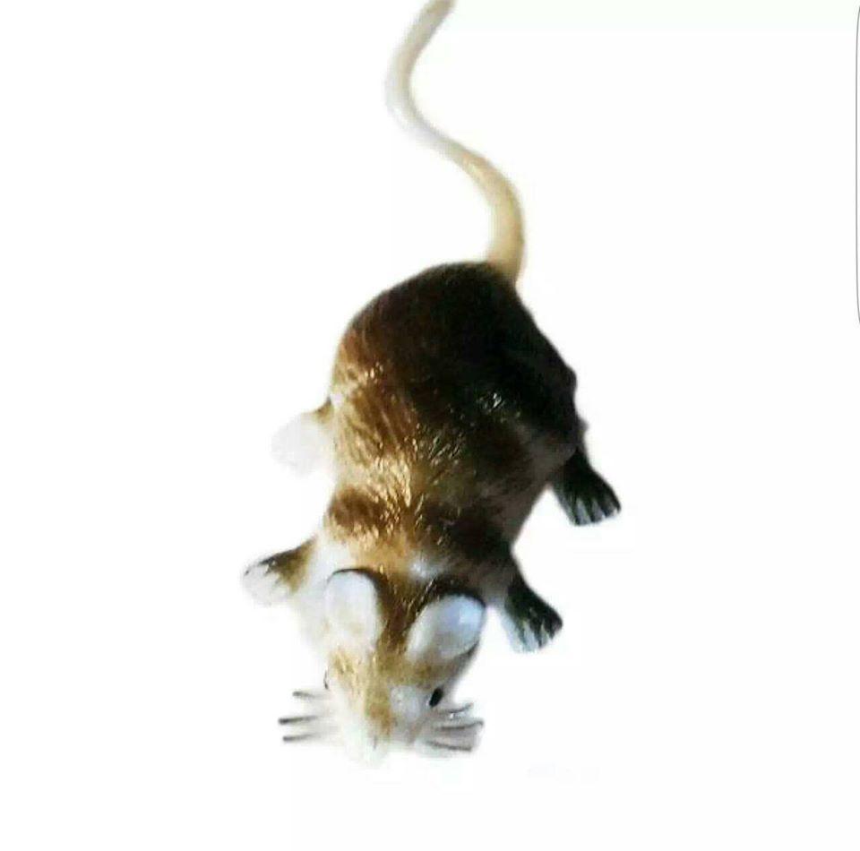 rubber mouse toy