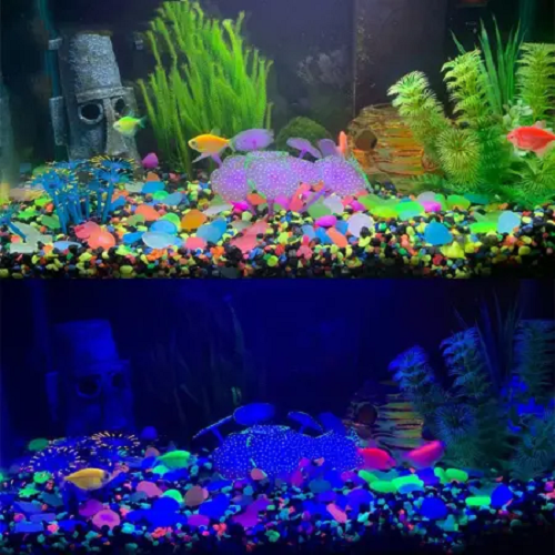 glow in the dark aquarium accessories