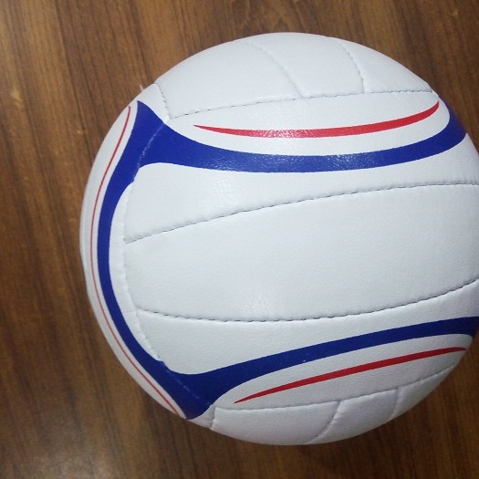 VolleyBall Beach Ball smash ball volley ball Training Ball Standard Size