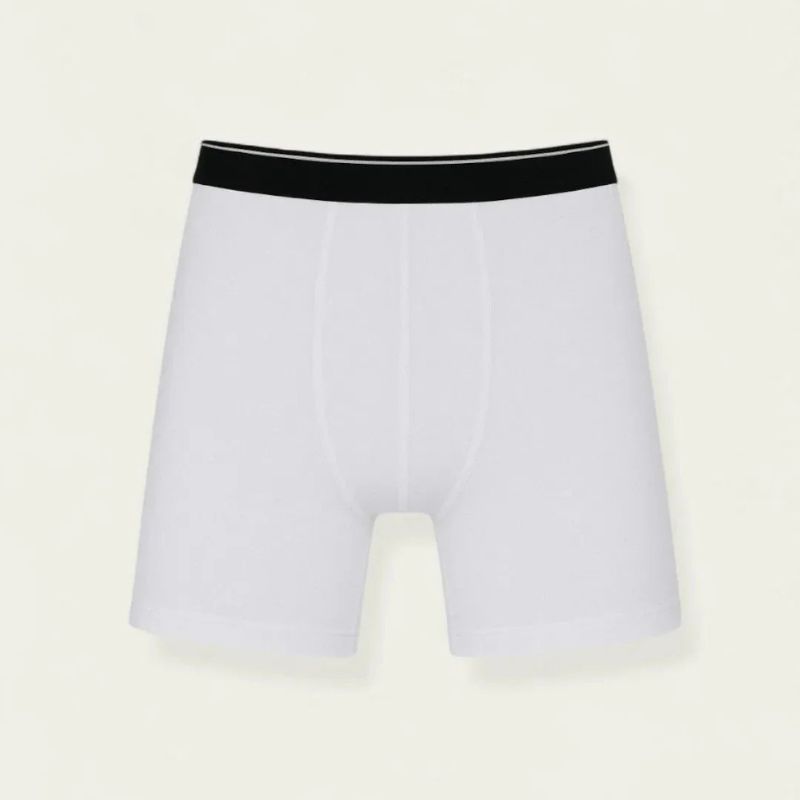 Savys - Men Long Leg Boxers  - Underwear For Boy - Super Soft Breathable Fabric - Undergarments - Perfect Blend Of softness & stretch - Underwear For Mens - Moisture Wicking & Body Adaptive Fit - For All Day Comfort