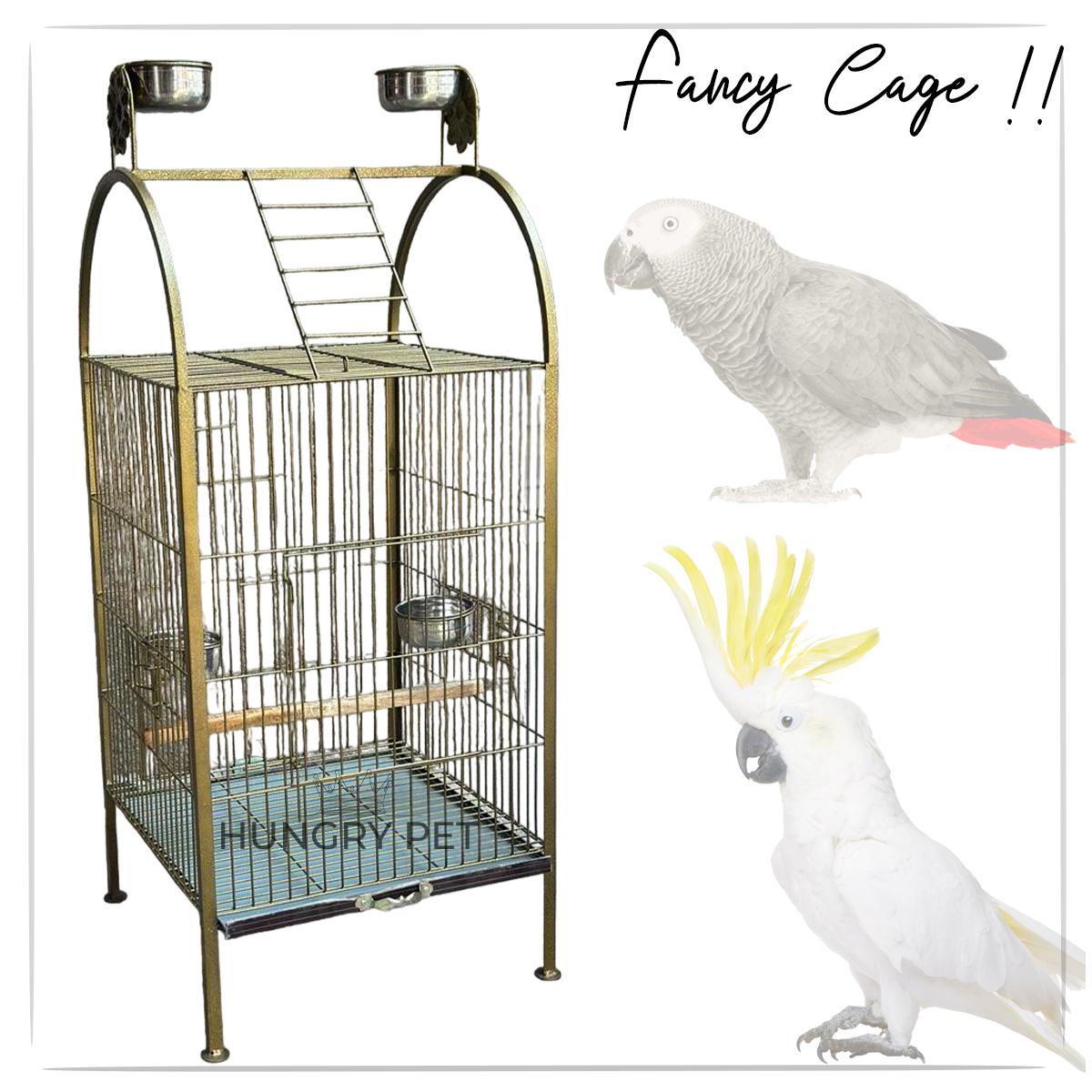 Fancy cage online