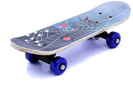 Skate Board 18 Inch