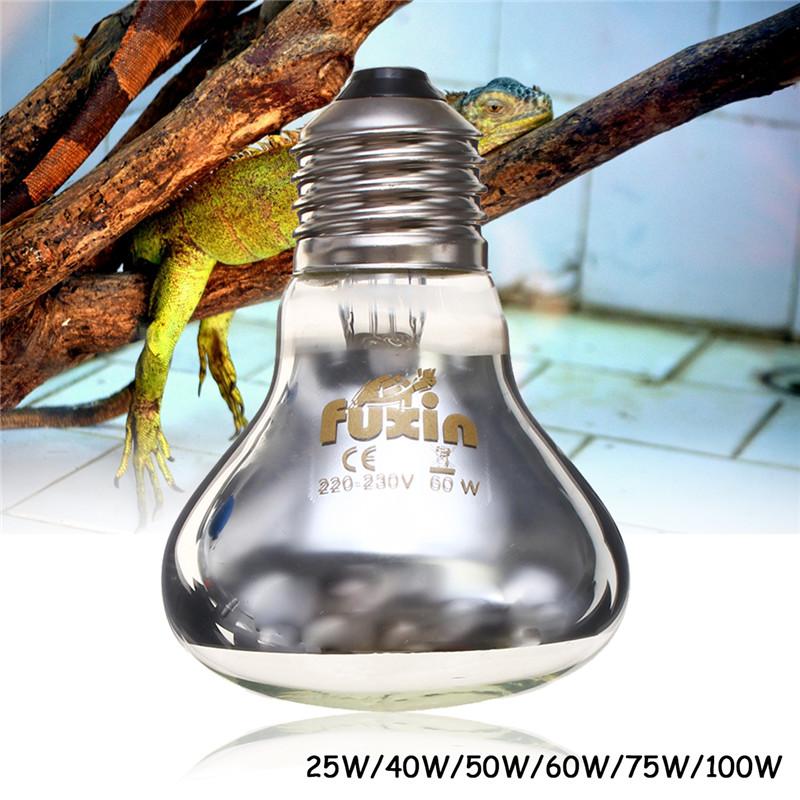 60 watt basking bulb