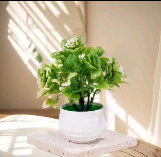 Artificial Mini Plants for Home & Office Decor – Small Decorative Plants for Desk, Tabletop, and Modern Indoor Spaces – Luxury Miniature Plants for Gifting Modern Mini Artificial Plants for Indoor Spaces Green Plants price in Pakistan