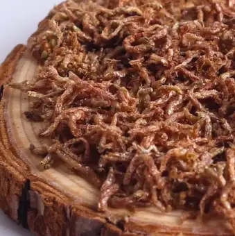 bloodworms for goldfish