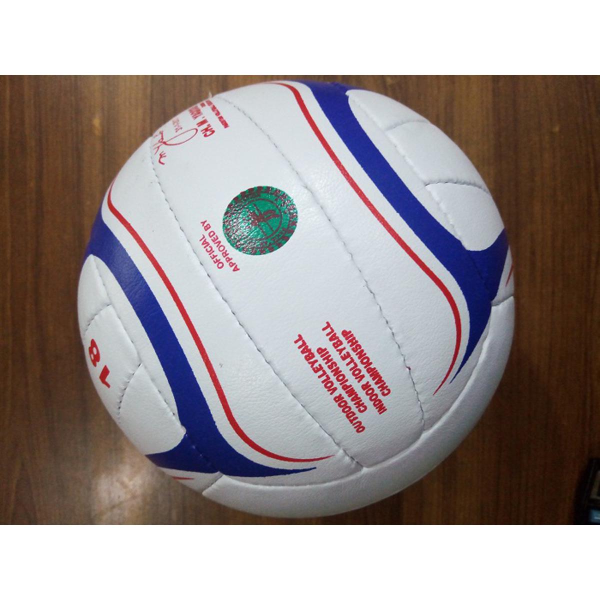 Volleyball Playing Volley ball Volleyballs Team Sports