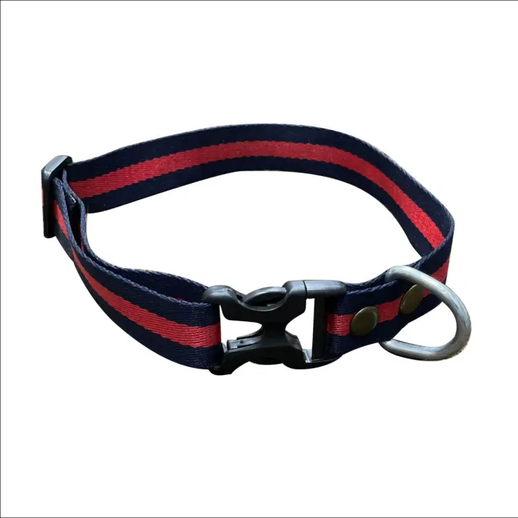 High neck 2024 dog collar