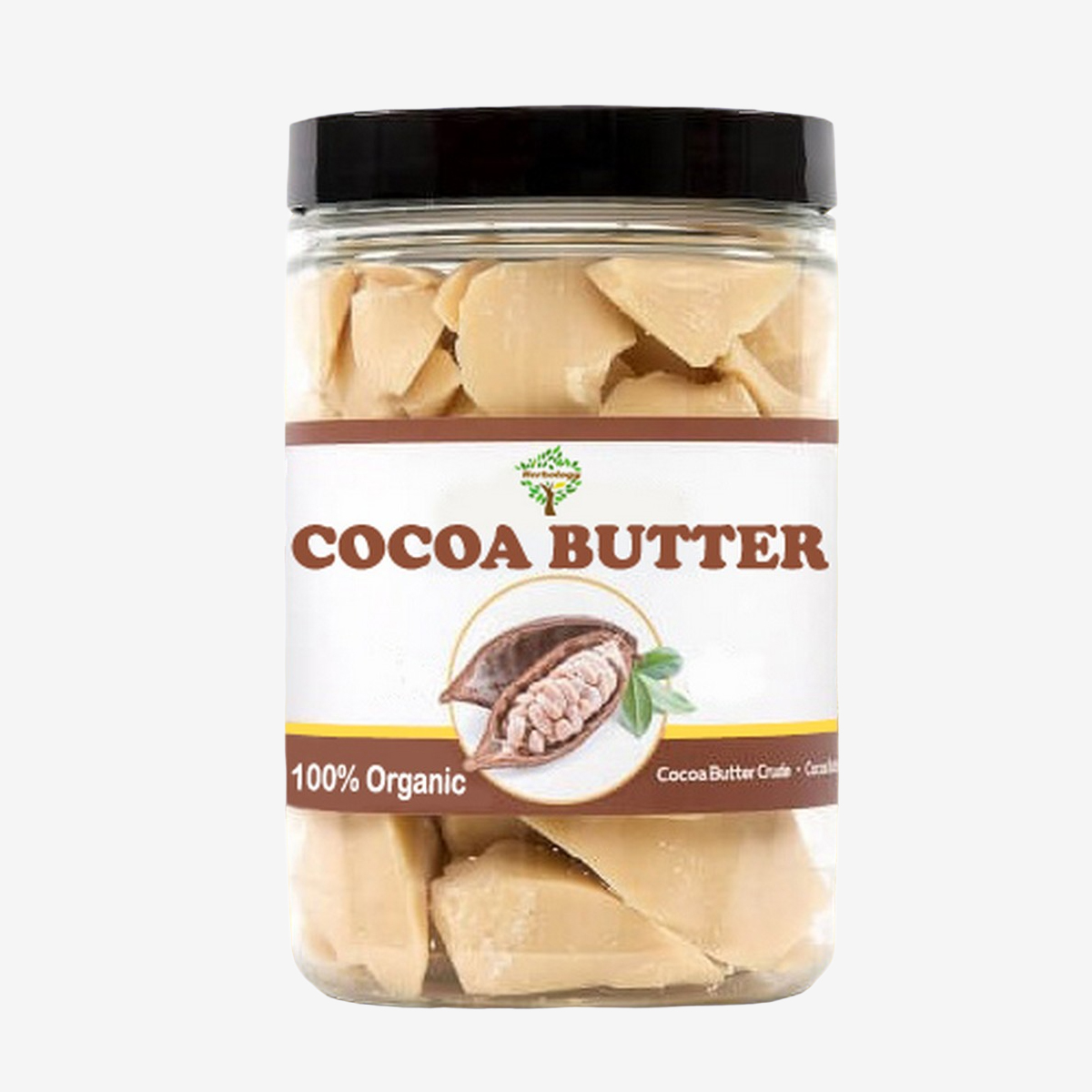 Fragancia Cocoa Butter 100% Pure & Natural - Use for Lotion, Cream, Lip Balm, Oil, Stick, or Body Butter