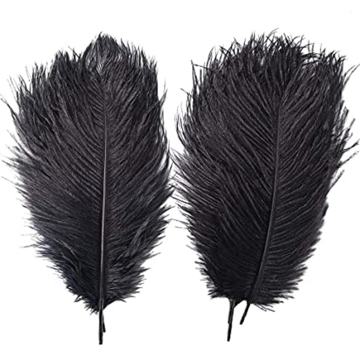 Black ostrich feathers store for sale