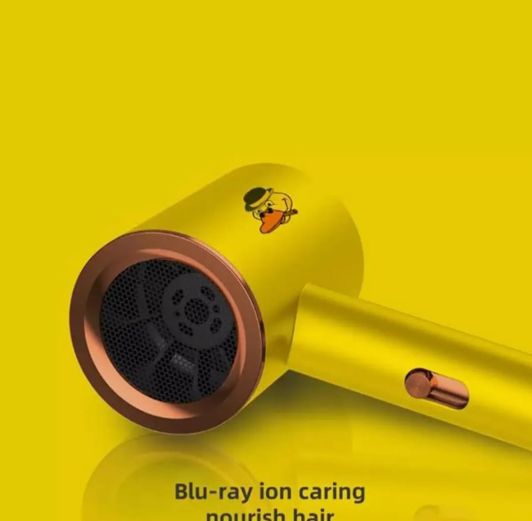 Compact Blow Hair Dryer