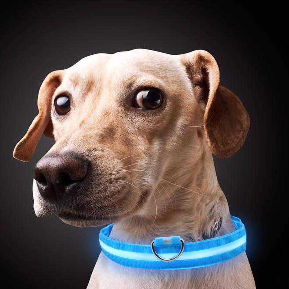 neck band for dogs