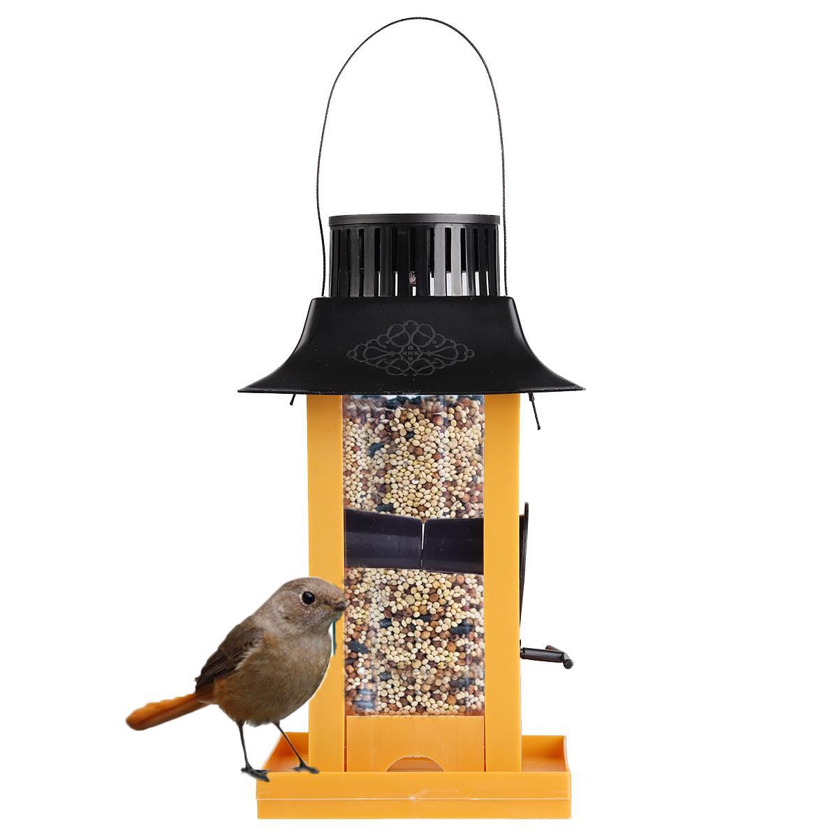 rural king wild bird seed