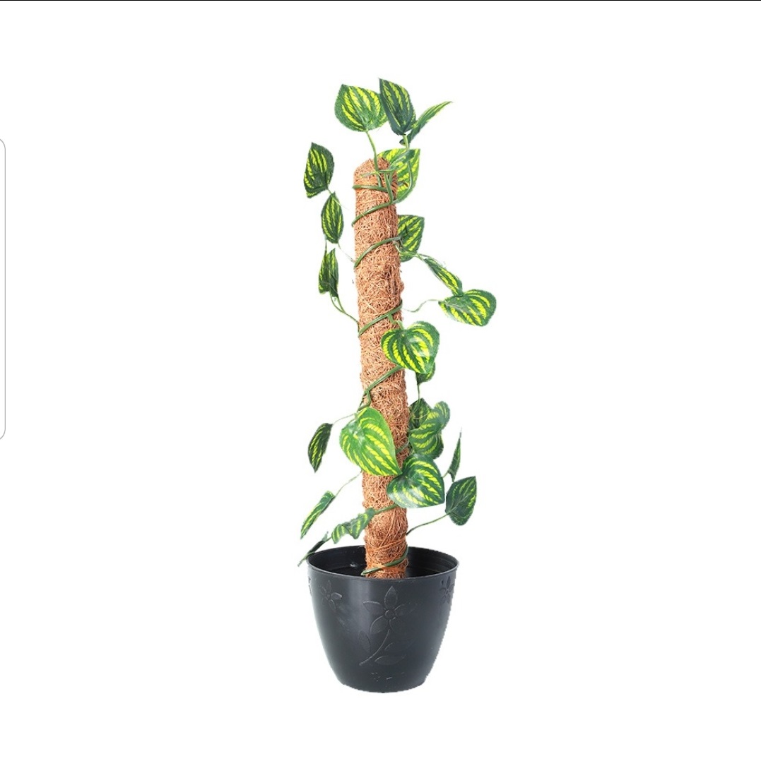 Green Artificial Money Plant leave with Coconut stick Decorative Flowers Plants best for Home and office Décor