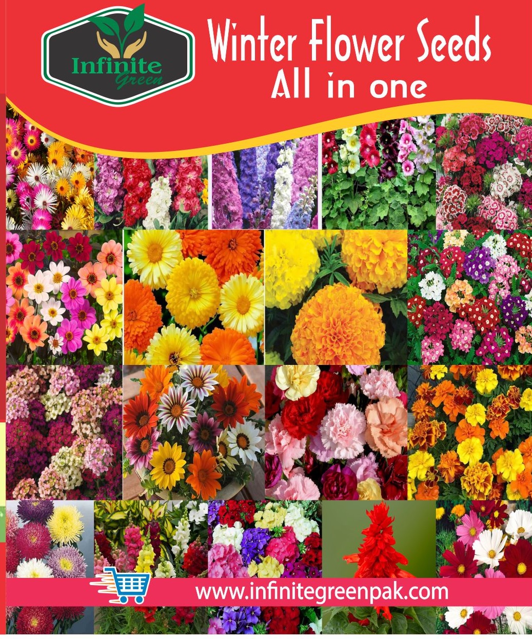 plant plastic pot FloraFlex POTPRO 5 Gallon Premium Nursery Pot: Elevate Your Gardening  Success