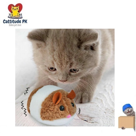 Vibrating Cat Toy