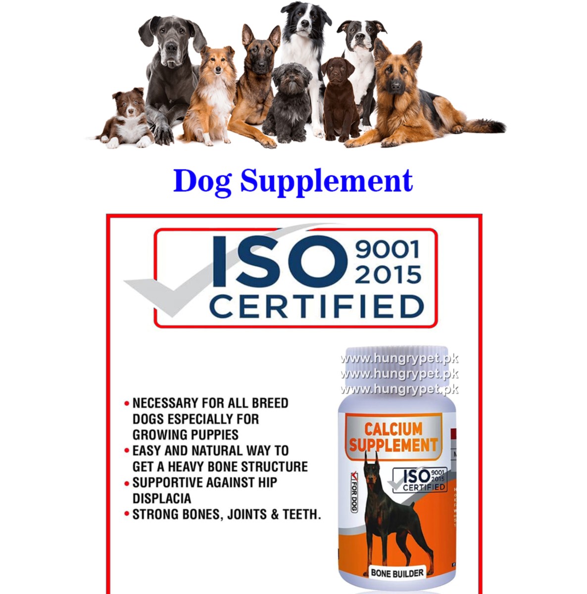 bone builder for dogs