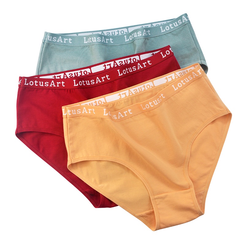Pack of 3 Cotton Underwear Panties for Girls & Women – Soft Jersey Fabric, Elastic Belt, Multi-Color (S-XL)