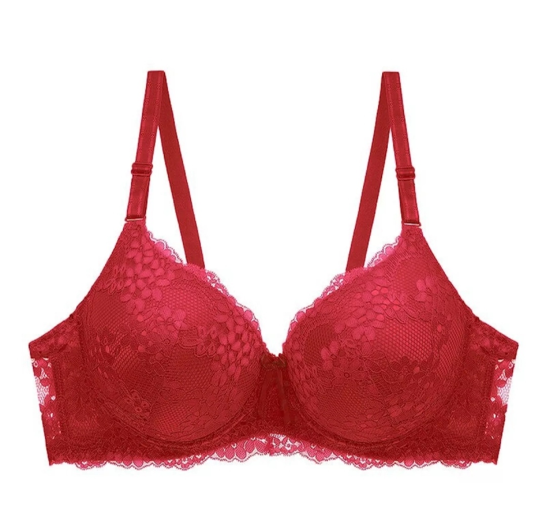 Floral Lace Padded Push up Bra For Women