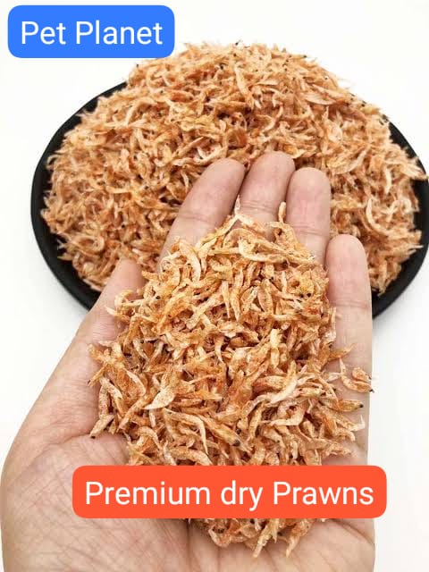 DRIED SHRIMPS (PRAWNS) PREMIUM QUALITY NATURAL PROTEIN FOOD FOR ALL TYPE OF BIRDS-FISHES & TURTLES