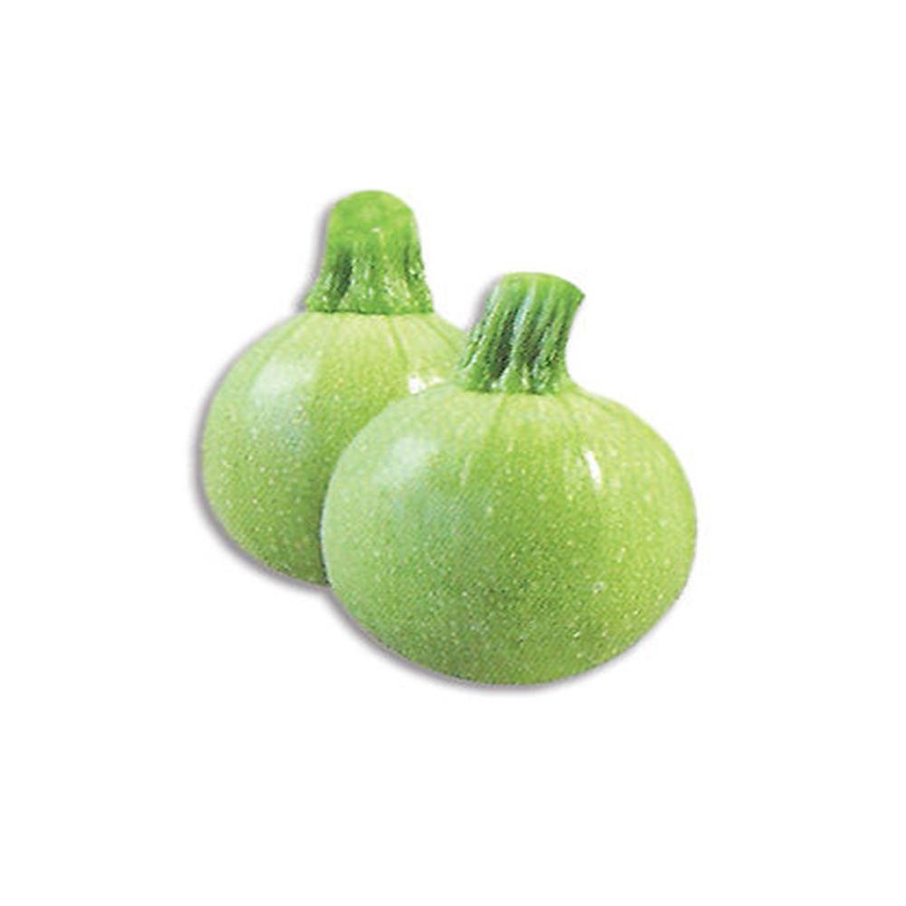 5+ Squash / Tinda Vegetable Seed Home kitchen Gardening
