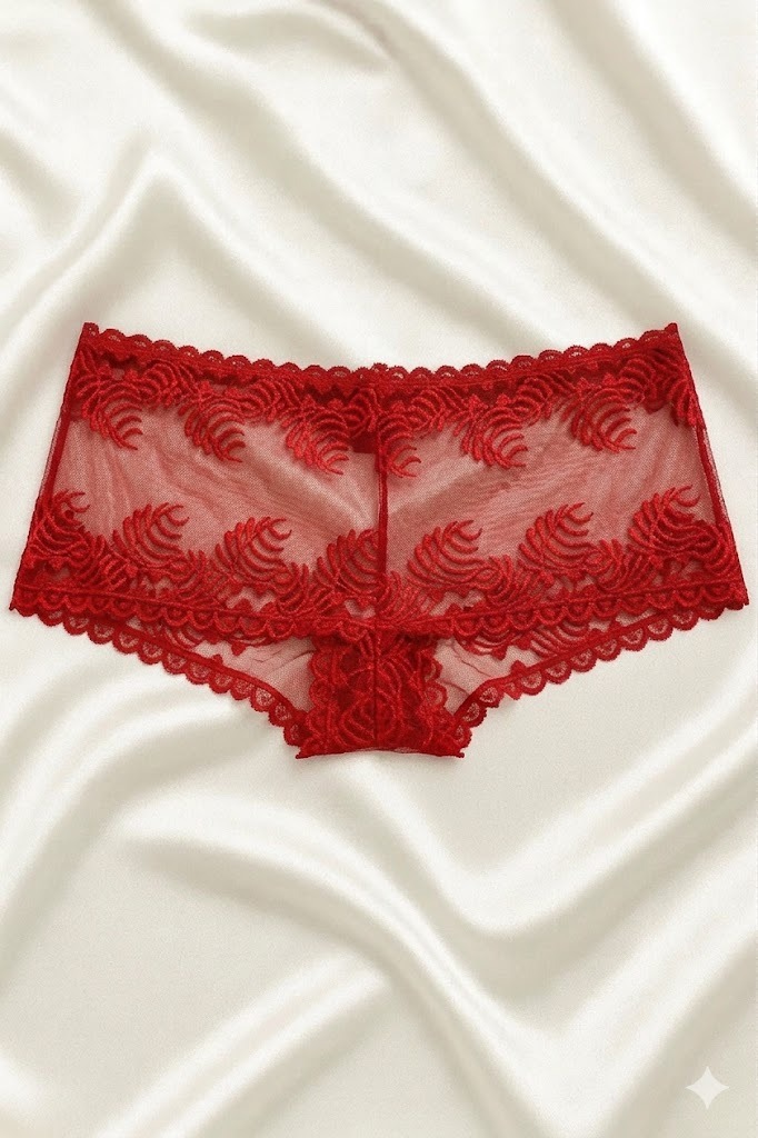 Women Panty, Net Panty for Women, Mesh Panties, Ladies Underwear, Transparent Panty, Lace Panty, Comfortable Women Underwear, Black Panty Women, Girls Innerwear, Ladies Lingerie Panty, Soft Panty