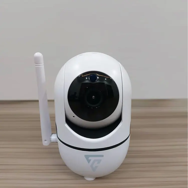 Minion 2024 home camera