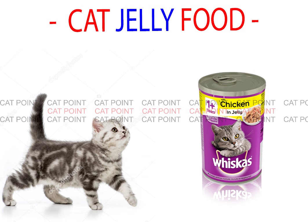 Whiskas Chicken In Jelly 390g - Cat Favorite Food