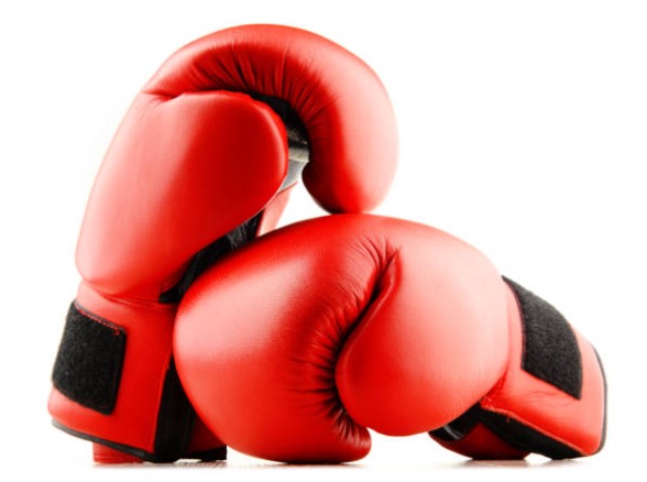 RESPAWN  Boxing Gloves Punching Gloves For Martial Arts, MMA, Boxing, Fighting Sports Foe Men and Women - Multicolor
