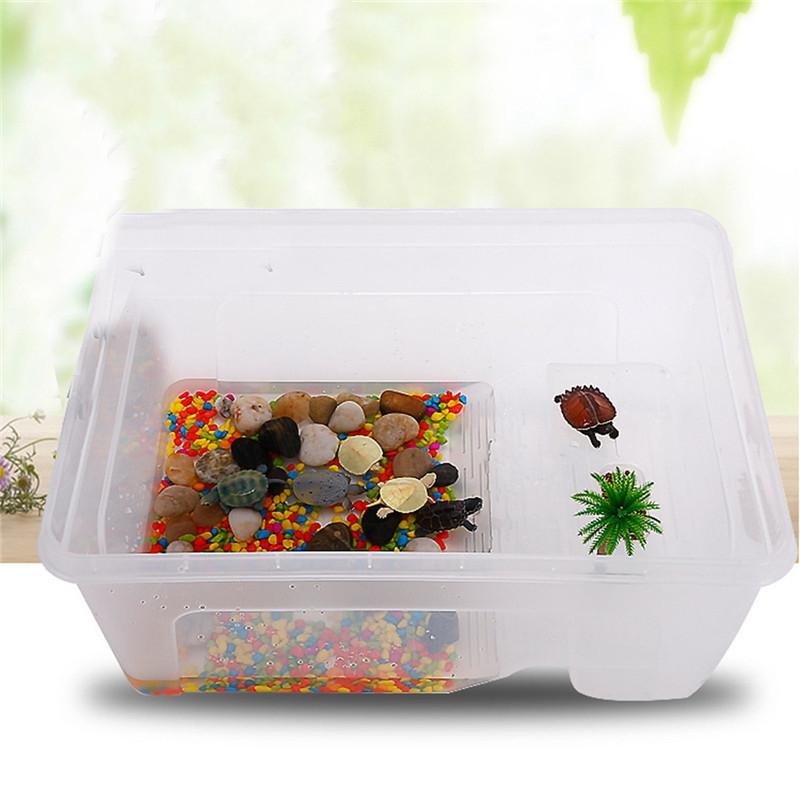 reptile plastic tubs