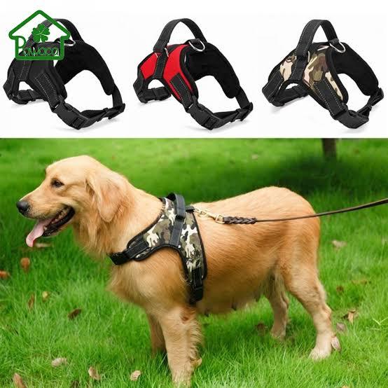 Harness / Chest Strap - Xl - For Dogs