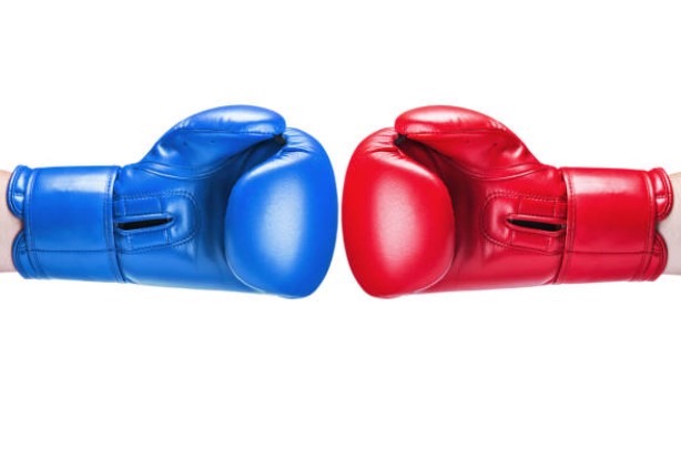 RESPAWN  Boxing Gloves Punching Gloves For Martial Arts, MMA, Boxing, Fighting Sports Foe Men and Women - Multicolor