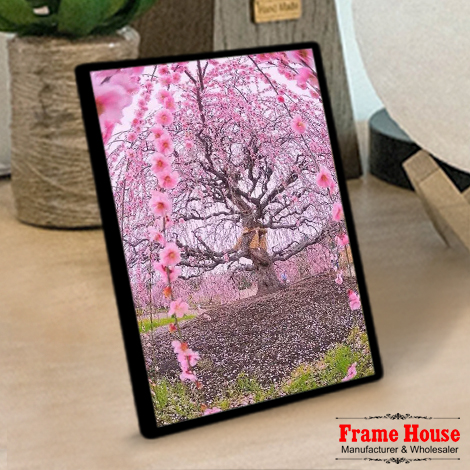 Motivational Quotes Photo Frame Set - Horizontal and Vertical Wall Decor for Home
