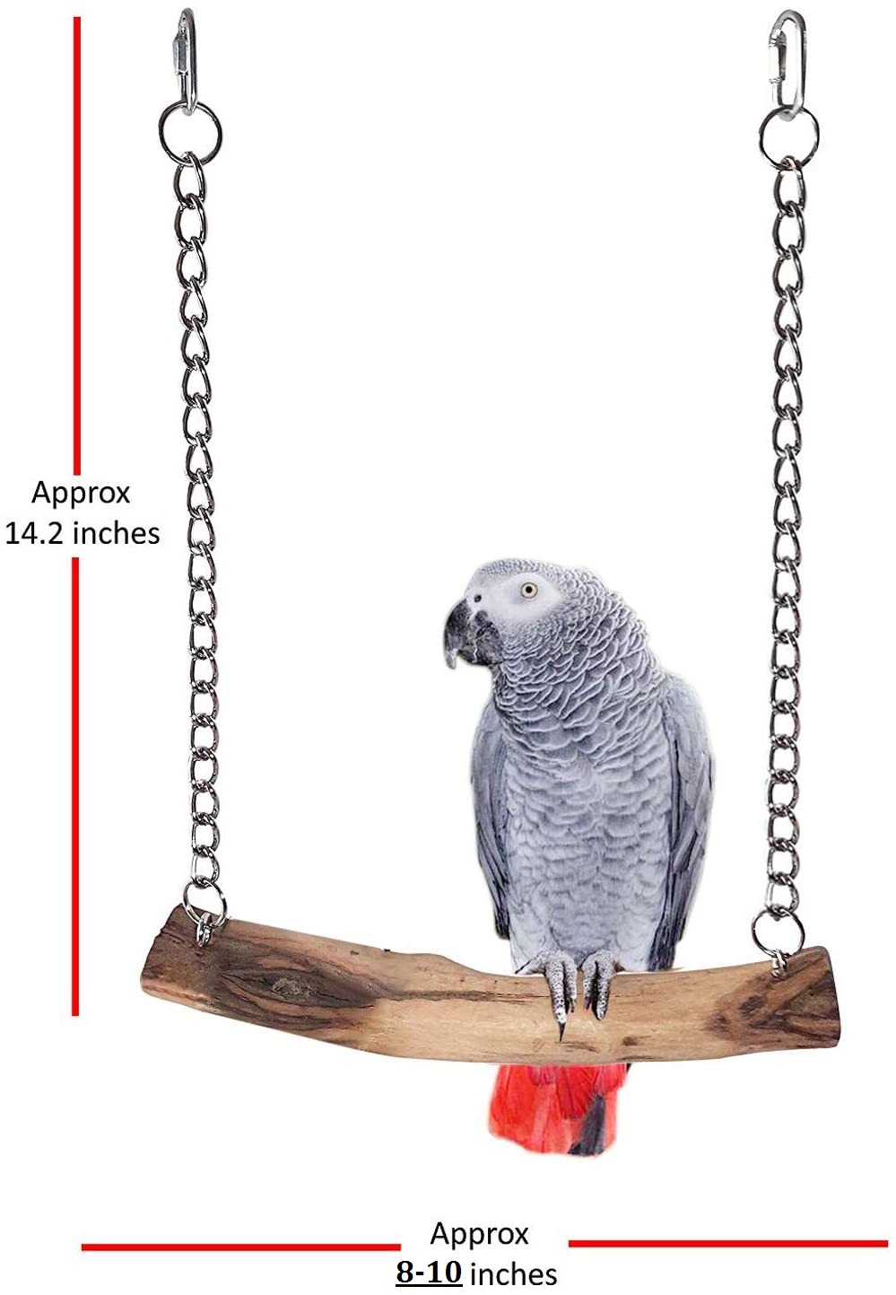 Parrot swing deals price