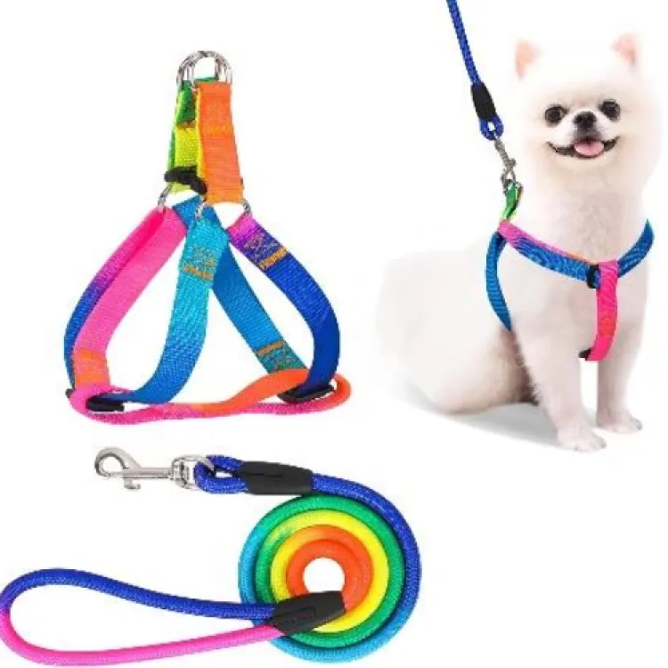 Rainbow Flag Dog Puppy Harness and Leash Pet Accessories