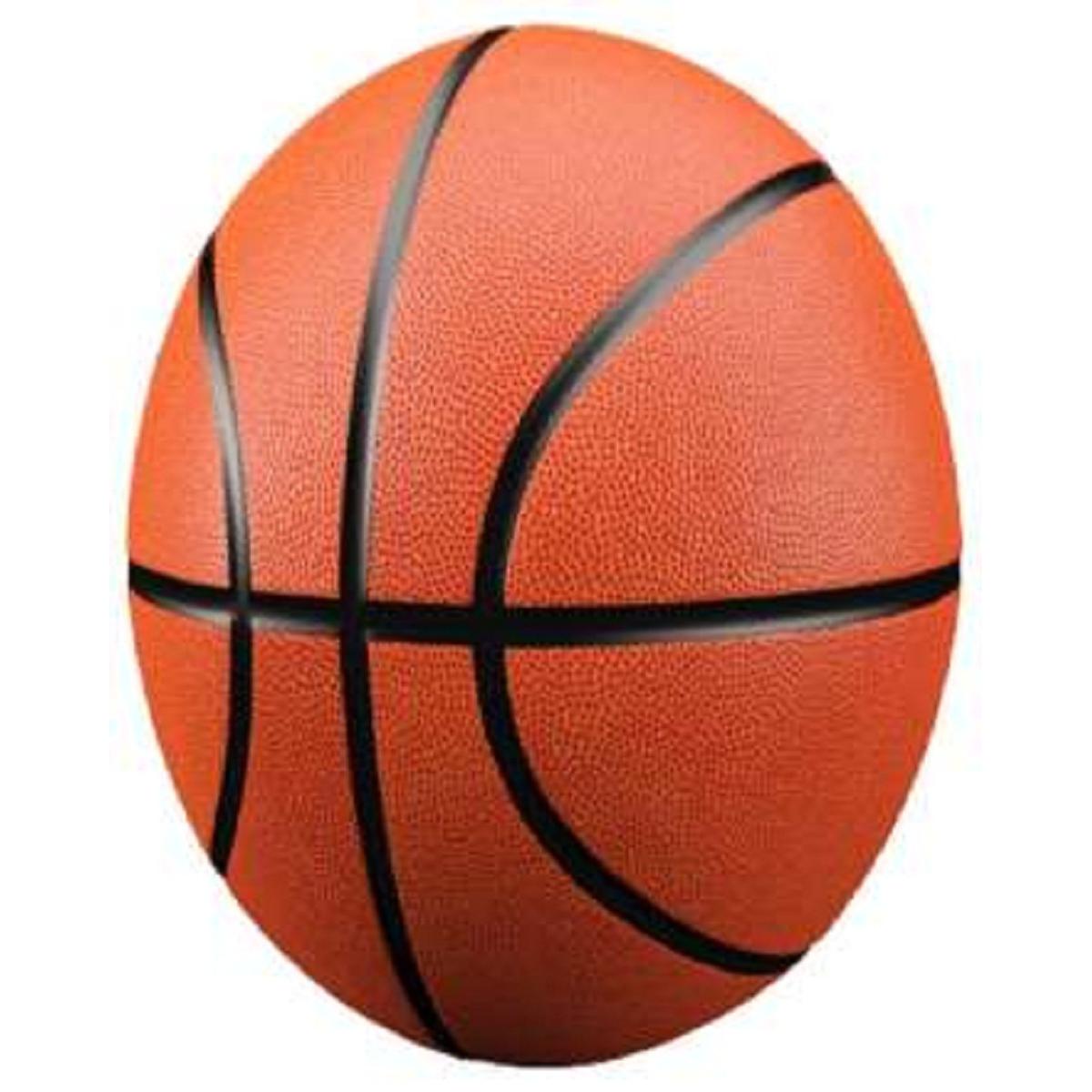 Molten Basket Ball - Brown