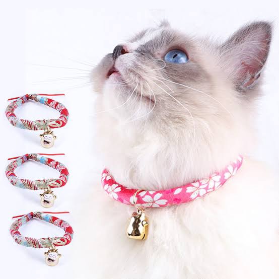 Multi Designs Bell Collar for Cats in Pakistan at