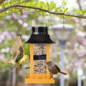 Clearance Sale Solar Powered Led Bird Feeder With Led Night